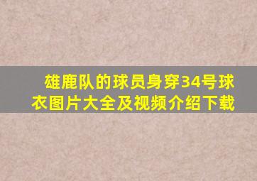 雄鹿队的球员身穿34号球衣图片大全及视频介绍下载