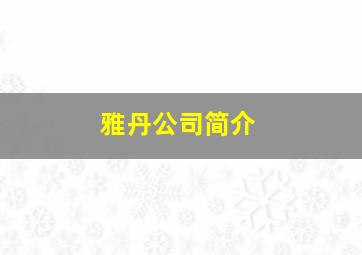 雅丹公司简介