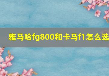 雅马哈fg800和卡马f1怎么选