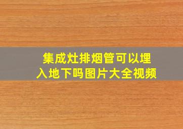 集成灶排烟管可以埋入地下吗图片大全视频