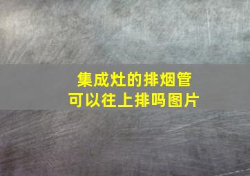 集成灶的排烟管可以往上排吗图片