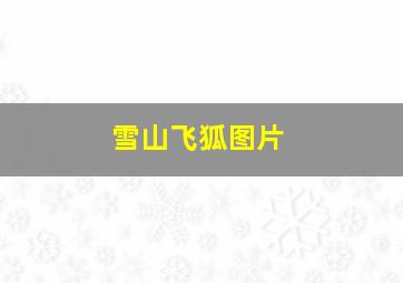 雪山飞狐图片