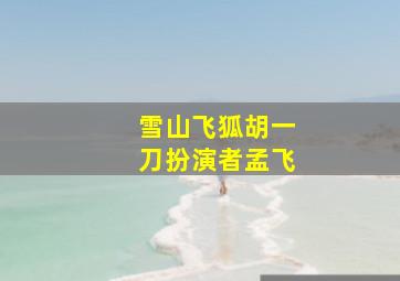 雪山飞狐胡一刀扮演者孟飞