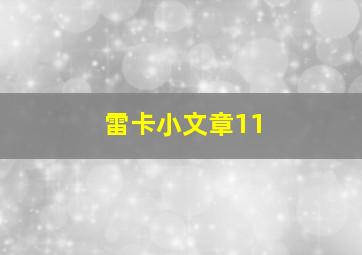 雷卡小文章11