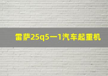 雷萨25q5一1汽车起重机