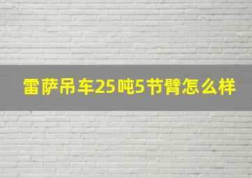 雷萨吊车25吨5节臂怎么样