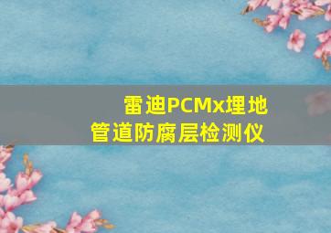 雷迪PCMx埋地管道防腐层检测仪