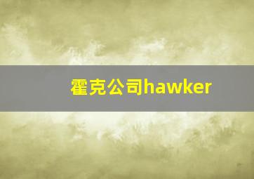 霍克公司hawker