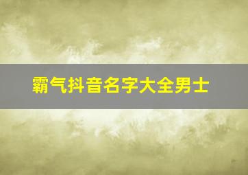 霸气抖音名字大全男士