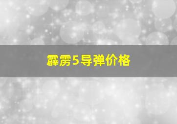 霹雳5导弹价格