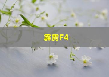 霹雳F4