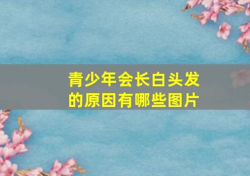 青少年会长白头发的原因有哪些图片