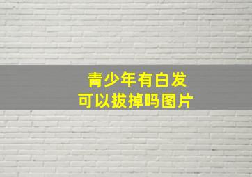 青少年有白发可以拔掉吗图片