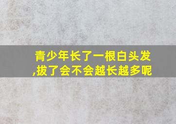 青少年长了一根白头发,拔了会不会越长越多呢