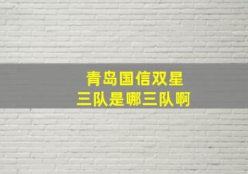 青岛国信双星三队是哪三队啊