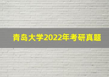 青岛大学2022年考研真题