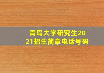 青岛大学研究生2021招生简章电话号码