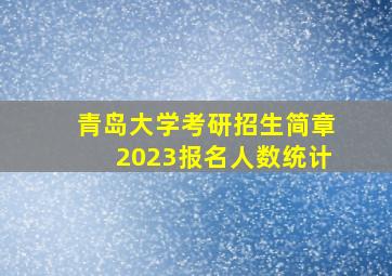 青岛大学考研招生简章2023报名人数统计