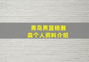 青岛男篮杨瀚森个人资料介绍