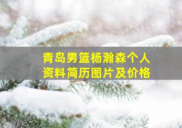 青岛男篮杨瀚森个人资料简历图片及价格