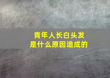 青年人长白头发是什么原因造成的