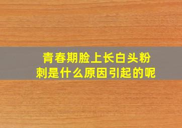 青春期脸上长白头粉刺是什么原因引起的呢