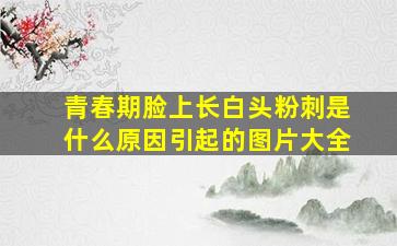 青春期脸上长白头粉刺是什么原因引起的图片大全