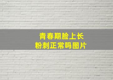 青春期脸上长粉刺正常吗图片