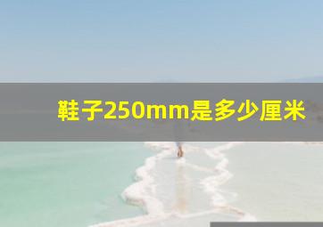 鞋子250mm是多少厘米