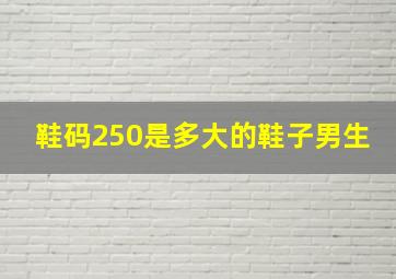 鞋码250是多大的鞋子男生