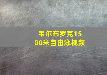 韦尔布罗克1500米自由泳视频