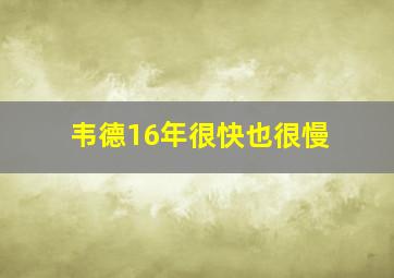 韦德16年很快也很慢