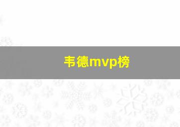 韦德mvp榜