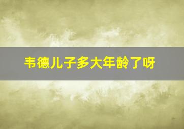 韦德儿子多大年龄了呀