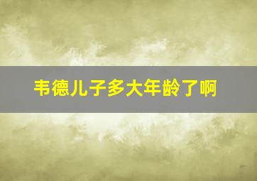 韦德儿子多大年龄了啊