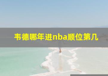 韦德哪年进nba顺位第几