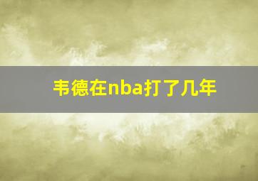 韦德在nba打了几年