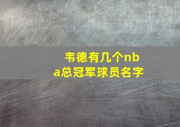 韦德有几个nba总冠军球员名字