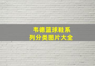 韦德篮球鞋系列分类图片大全