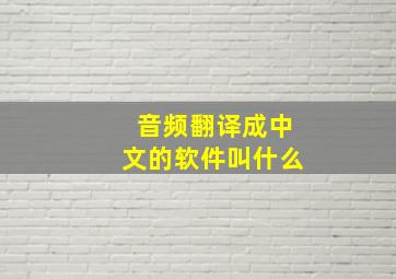 音频翻译成中文的软件叫什么