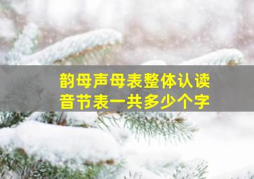 韵母声母表整体认读音节表一共多少个字