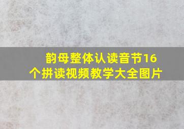 韵母整体认读音节16个拼读视频教学大全图片