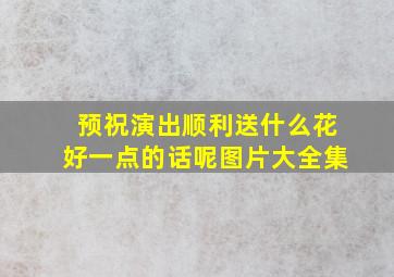 预祝演出顺利送什么花好一点的话呢图片大全集