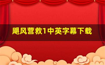 飓风营救1中英字幕下载