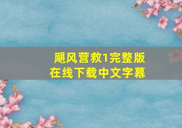 飓风营救1完整版在线下载中文字幕