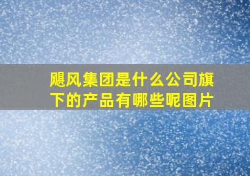 飓风集团是什么公司旗下的产品有哪些呢图片