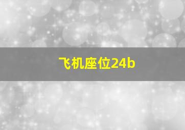 飞机座位24b