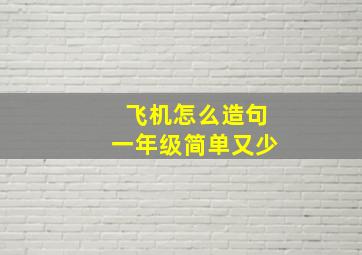 飞机怎么造句一年级简单又少