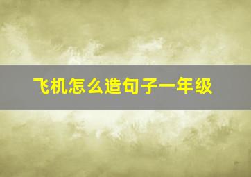 飞机怎么造句子一年级