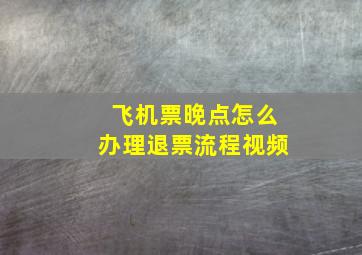 飞机票晚点怎么办理退票流程视频